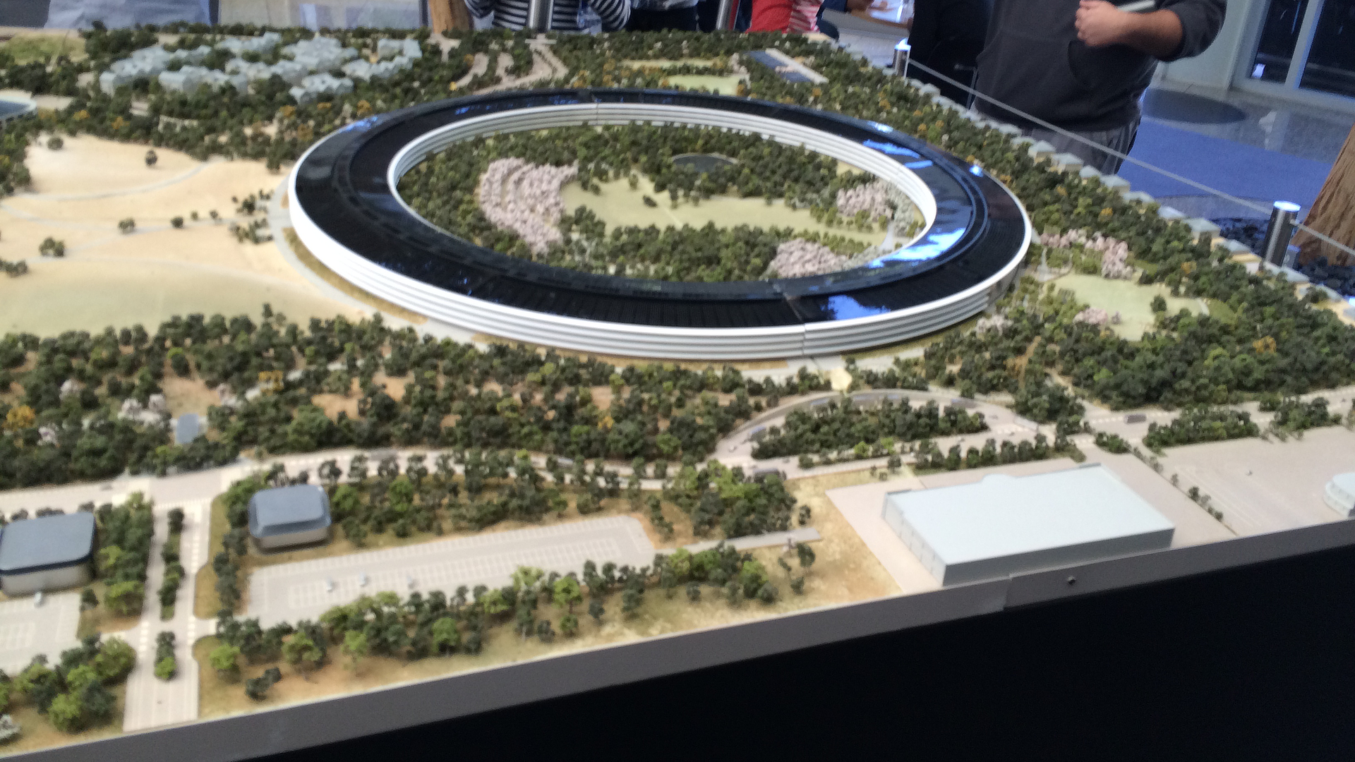 Sunnyside - Apple Park : Architectural Scale Model 01